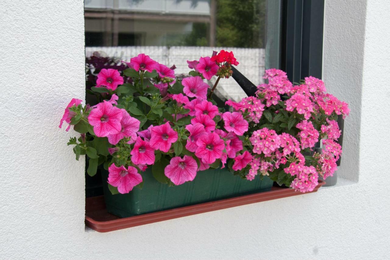 Ferienwohnung Heissl Fieberbrunn Esterno foto